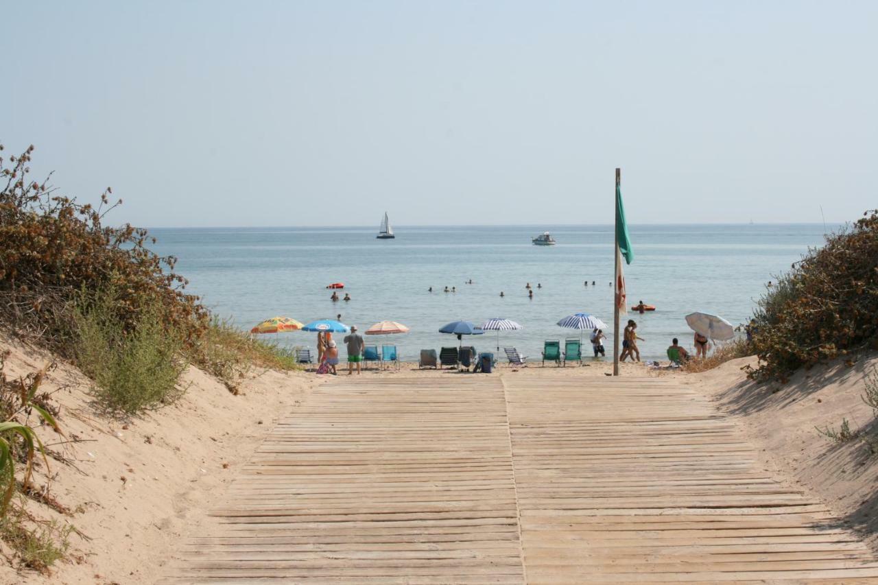 Oliva Holidays 1 Екстериор снимка